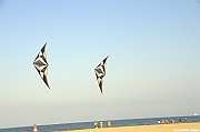 EUROCUP STACK 2011 CERVIA00086